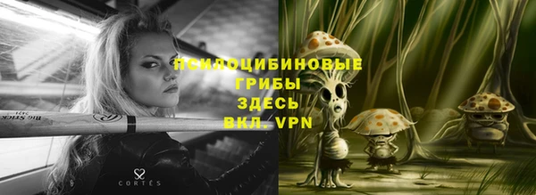 МДМА Карпинск