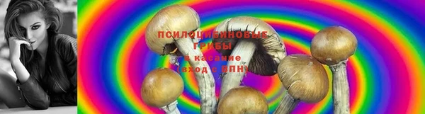 МДМА Карпинск