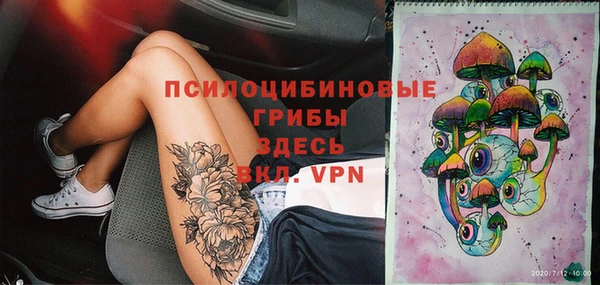 гашиш Касимов