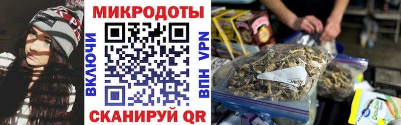 Псилоцибиновые грибы Psilocybe Николаевск-на-Амуре
