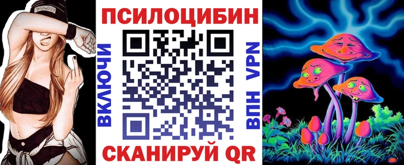 Галлюциногенные грибы Cubensis  Купить закладки  Николаевск-на-Амуре 